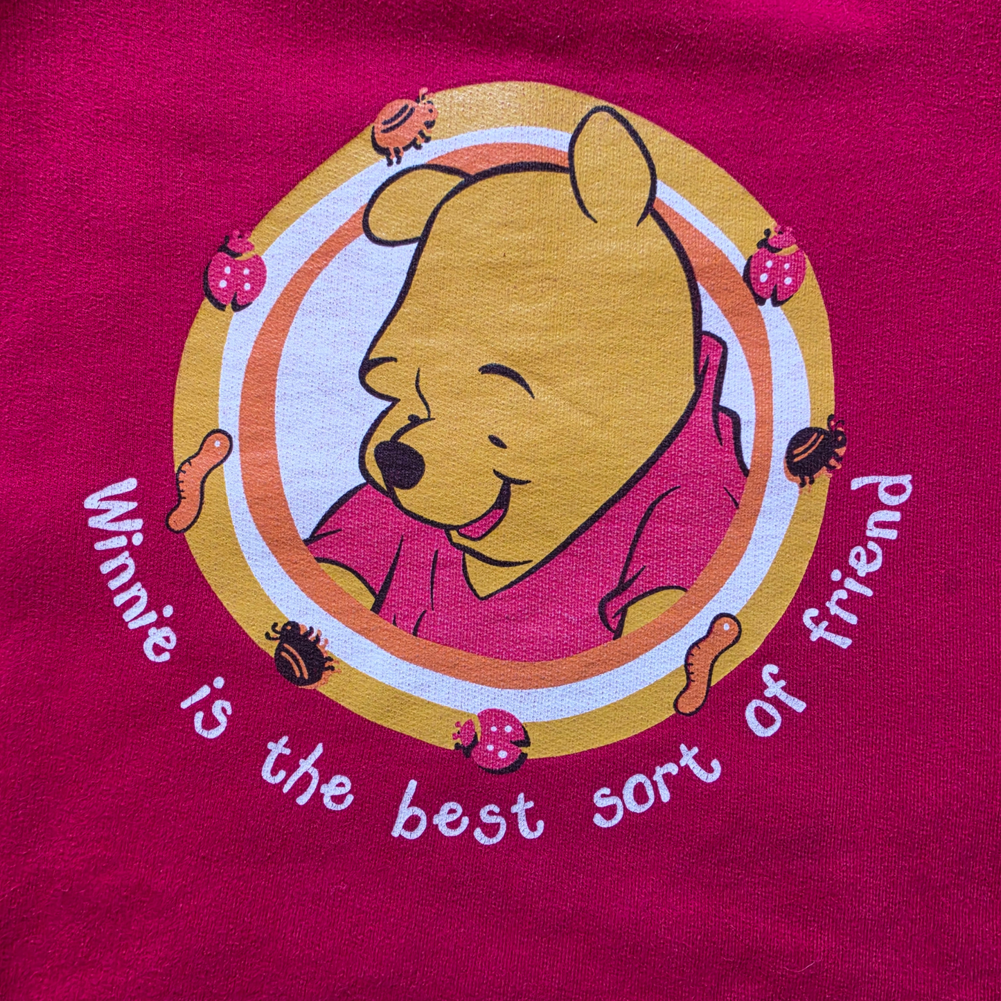 Vintage Disney Winnie the Pooh Bugs Sweater (Sz 5-6) (~90s)
