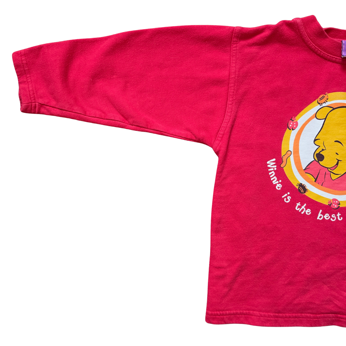 Vintage Disney Winnie the Pooh Bugs Sweater (Sz 5-6) (~90s)