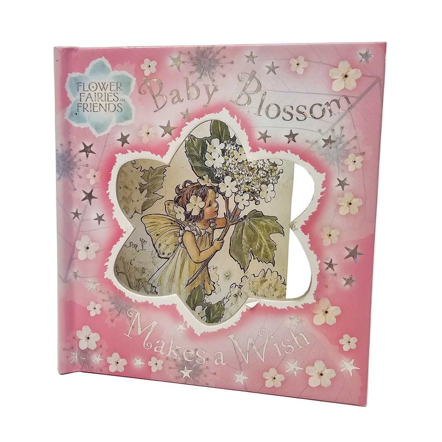 Vtg Flower Faries Friends Baby Blossom Makes a Wish (2004)