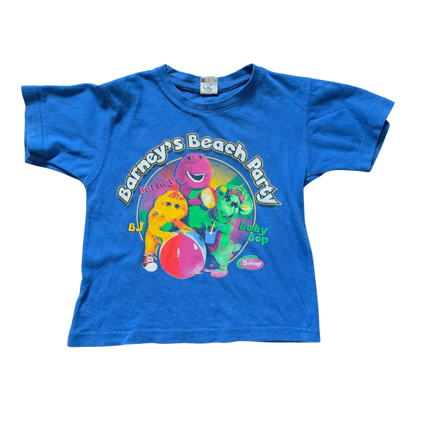 Vintage Barney & Friends Beach Party Graphic Tee (Sz 2-4) (2006)
