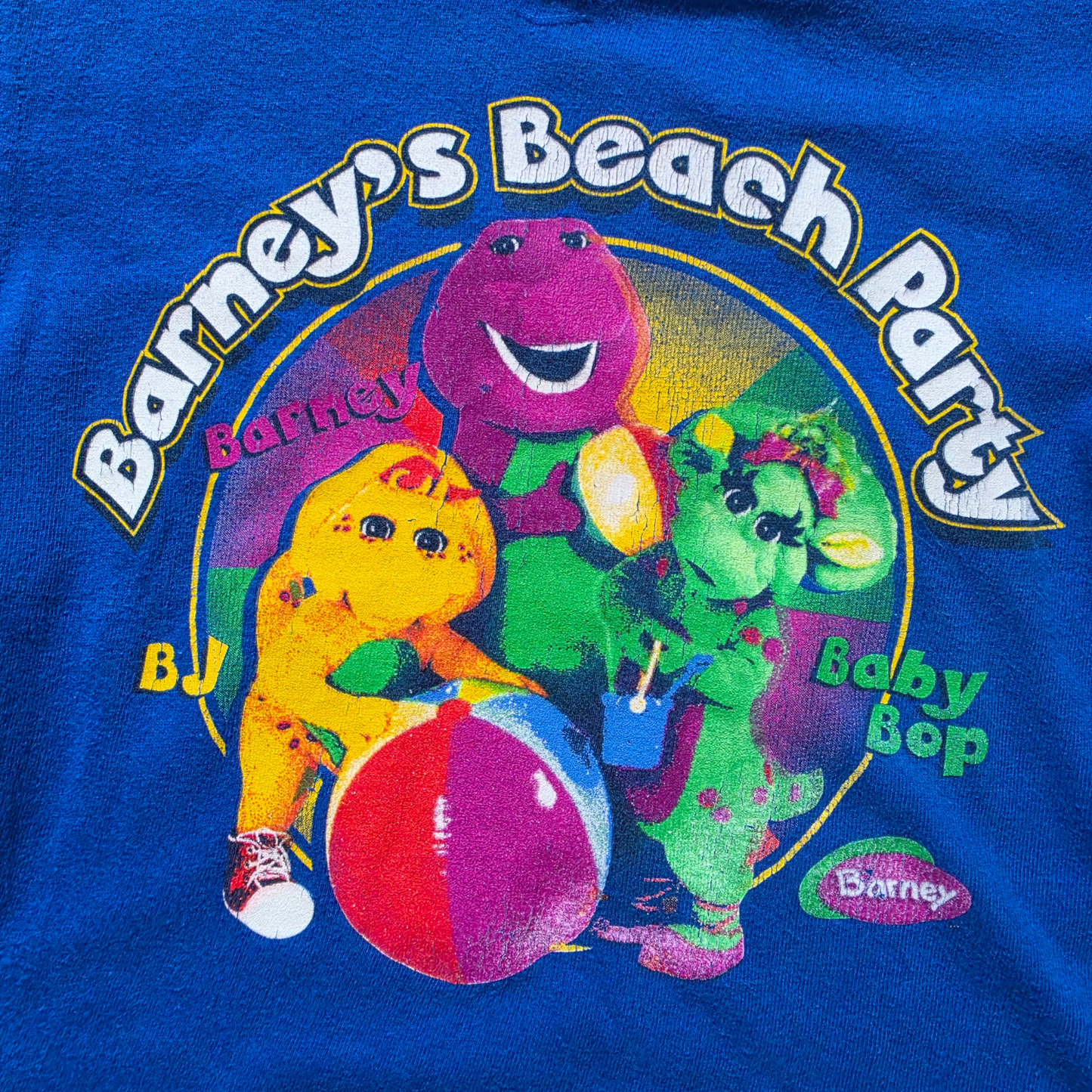 Vintage Barney & Friends Beach Party Graphic Tee (Sz 2-4) (2006)