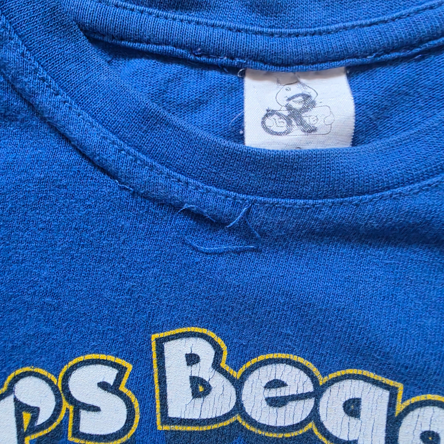 Vintage Barney & Friends Beach Party Graphic Tee (Sz 2-4) (2006)