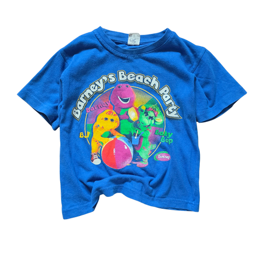 Vintage Barney & Friends Beach Party Graphic Tee (Sz 2-4) (2006)