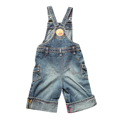 Disney Winnie the Pooh & Piglet Best Friends Overalls (Sz 5)
