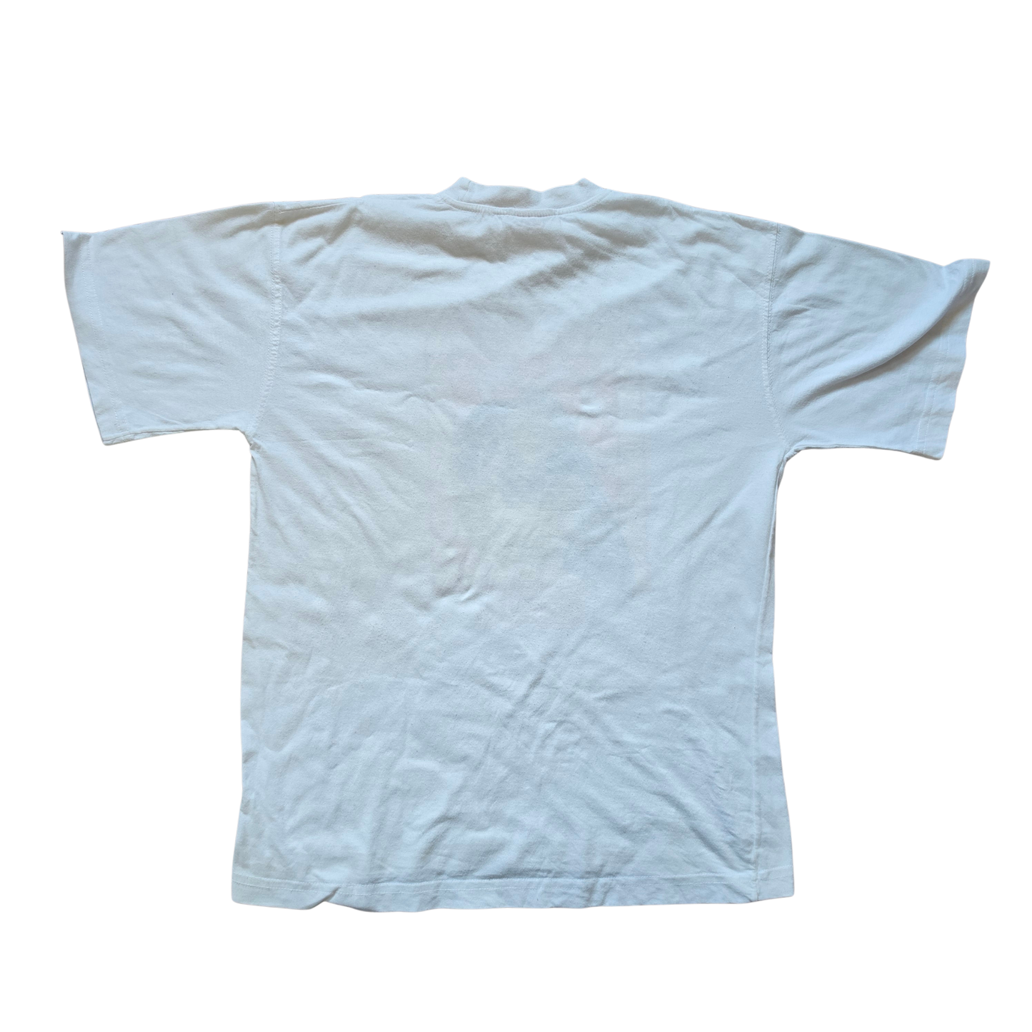 Pocahontas & Meeko T-Shirt (Sz 8-10)
