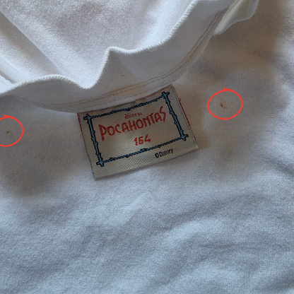 Pocahontas & Meeko T-Shirt (Sz 8-10)